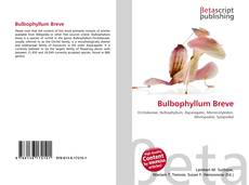 Copertina di Bulbophyllum Breve