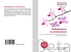 Copertina di Bulbophyllum Curvimentatum