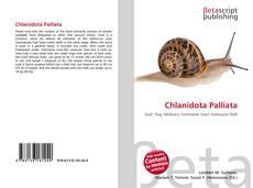 Buchcover von Chlanidota Palliata