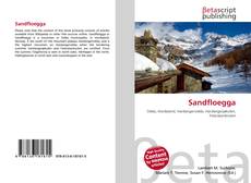 Capa do livro de Sandfloegga 