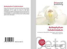 Bulbophyllum Colubrimodum kitap kapağı