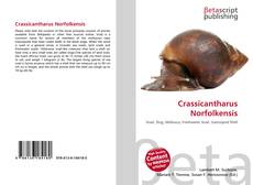 Crassicantharus Norfolkensis kitap kapağı