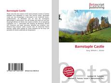 Barnstaple Castle的封面