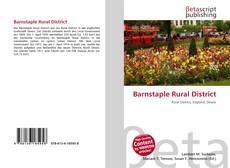 Buchcover von Barnstaple Rural District