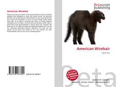 Borítókép a  American Wirehair - hoz