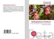 Обложка Bulbophyllum Citrellum