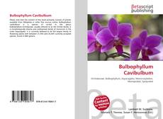Capa do livro de Bulbophyllum Cavibulbum 