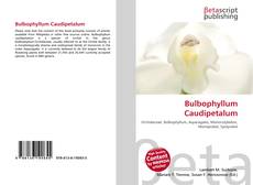 Обложка Bulbophyllum Caudipetalum