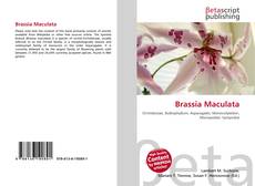 Brassia Maculata kitap kapağı