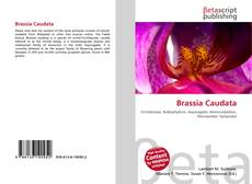 Bookcover of Brassia Caudata