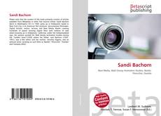 Capa do livro de Sandi Bachom 