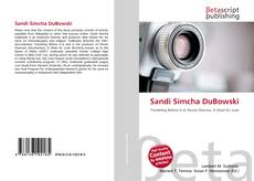 Capa do livro de Sandi Simcha DuBowski 