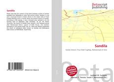 Portada del libro de Sandila