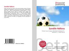 Bookcover of Sandile Ndlovu
