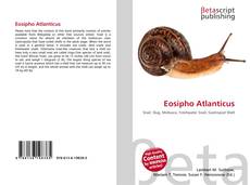 Portada del libro de Eosipho Atlanticus