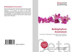Copertina di Bulbophyllum Ecornutum