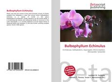 Copertina di Bulbophyllum Echinulus