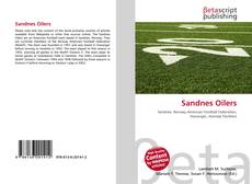 Sandnes Oilers kitap kapağı
