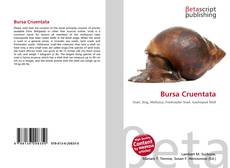 Borítókép a  Bursa Cruentata - hoz