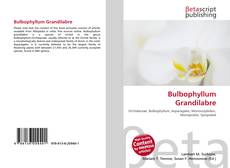 Buchcover von Bulbophyllum Grandilabre