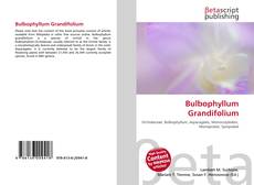 Buchcover von Bulbophyllum Grandifolium
