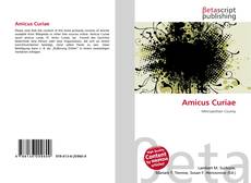 Buchcover von Amicus Curiae