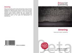 Capa do livro de Amering 