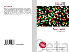 Buchcover von Amersfoort