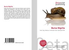 Copertina di Bursa Nigrita