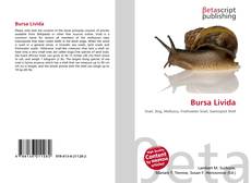 Buchcover von Bursa Livida