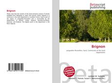 Copertina di Brignon