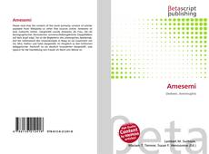 Couverture de Amesemi