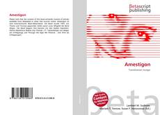 Couverture de Amestigon