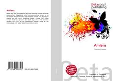 Capa do livro de Amiens 