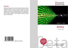 Capa do livro de Amieva 