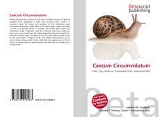 Caecum Circumvolutum的封面