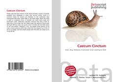 Caecum Cinctum的封面