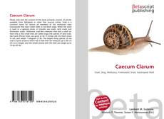 Caecum Clarum的封面