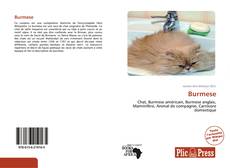 Capa do livro de Burmese 