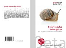 Bookcover of Bostrycapulus Heteropoma