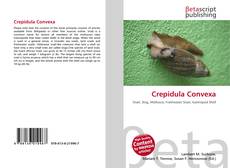 Crepidula Convexa的封面