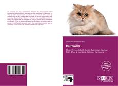 Portada del libro de Burmilla