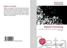 Couverture de Bigtime Consulting
