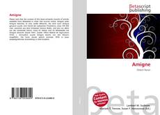 Capa do livro de Amigne 