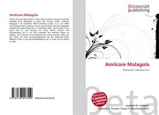Capa do livro de Amilcare Malagola 