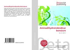 Capa do livro de Aminodihydroindendicarbonsäure 