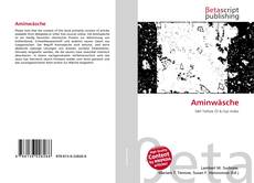 Couverture de Aminwäsche