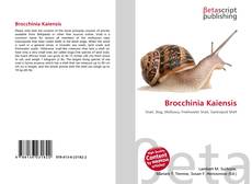 Capa do livro de Brocchinia Kaiensis 