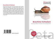 Brocchinia Verheckeni的封面