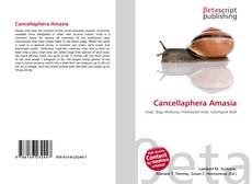 Capa do livro de Cancellaphera Amasia 